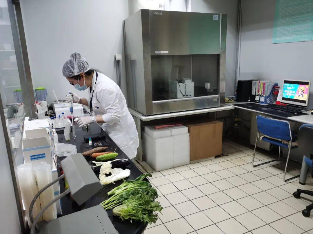 东阳食品检测实验室装修方案